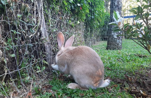 Lumiar Cottage | House in Lumiar/up to 8 people. Fireplace/private waterfall/bed and bath linen.