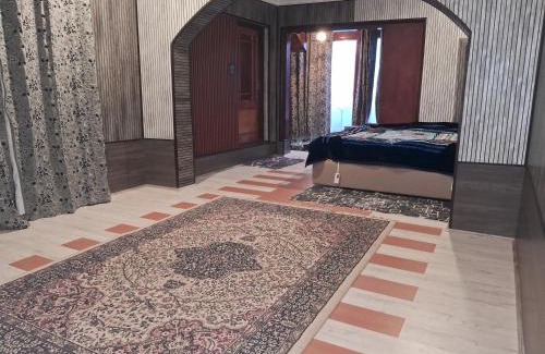 Srinagar House | house