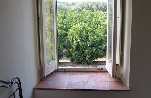 Rossano House | House in the greenery of a large citrus grove, private access to the beach.Relaxation and peace!