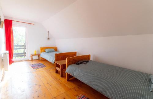 Cisnadioara House | House Lucia Camping Ananas Cisnadioara