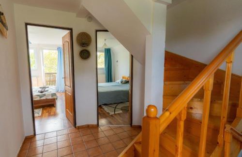 Cisnadioara House | House Michael Camping Ananas Cisnadioara