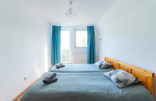 Cisnadioara House | House Michael Camping Ananas Cisnadioara