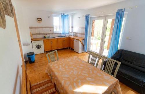 Cisnadioara House | House Michael Camping Ananas Cisnadioara