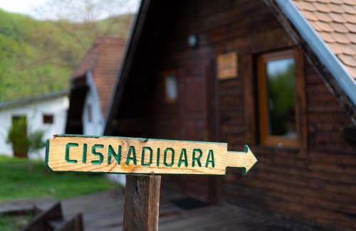 Cisnadioara House | House Michael Camping Ananas Cisnadioara