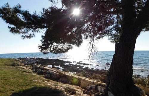 Spadici Apartment | House Monika