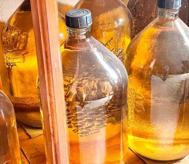 Sairme House | House of Warmth