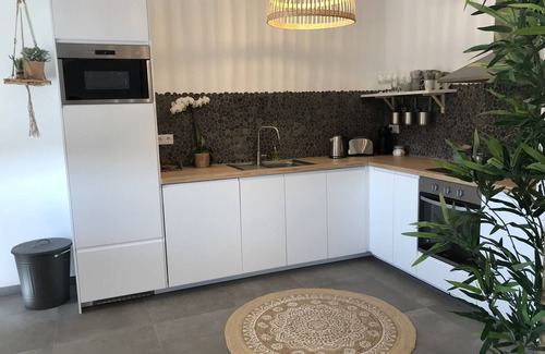 Praia de Mira Apartment | House on the river: Bico das flores 1