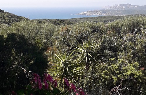 Aglientu House | House/villa with sea view garden 900 mt from rena majore beach