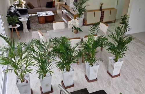 Cachoeira do Bom Jesus House | House with heated pool. Near the beach Several beaches nearby