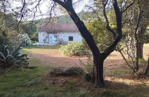 Rogliano House | House with large garden, close to the sea and all amenities. Ideal for families