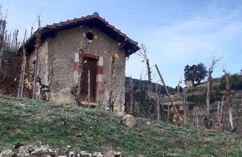 Cornas House | House with swimming pool, at the foot of the CORNAS Ardèche vineyard