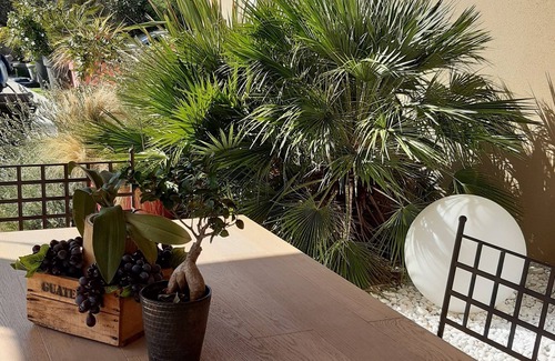 Cornas House | House with swimming pool, at the foot of the CORNAS Ardèche vineyard
