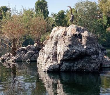 Aswan Boat Rental | Houseboat Hotel and Nile Cruises Zainoba