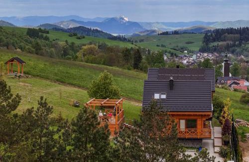 Lapsze Nizne Villa | Houten Vakantiewoning "ReisnaarPolen" royaal ontbijt, sauna en Hottub