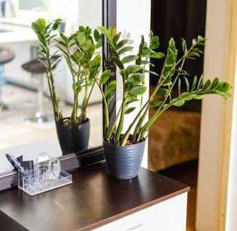 Jarve Apartment | Hubane korter Järvel