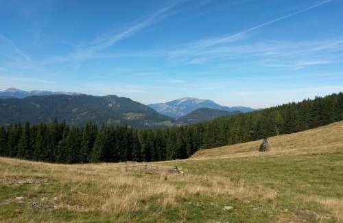 Trattenbach House | Hubertushof