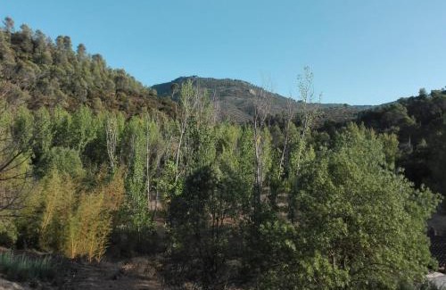 Villacarrillo House | Huerta de José Miguel