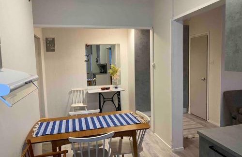 Pieksamaki Apartment | Huoneisto lähellä keskustaa