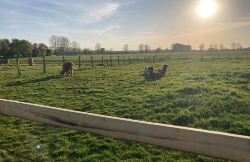 Boergerende-Rethwisch Hotel | Hus un Köken