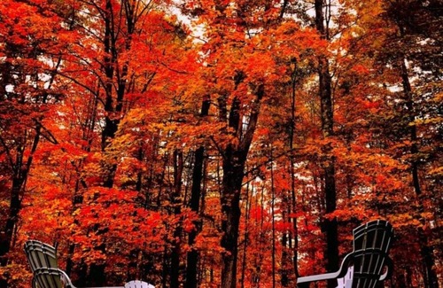 Barton Cabin | Hut on the Hill at Mountain Pines Vacation Rentals