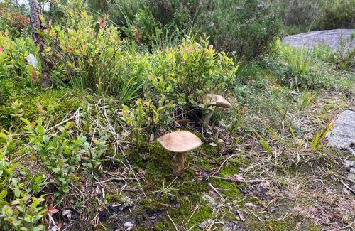 Aseral House | Hygge på fjellet