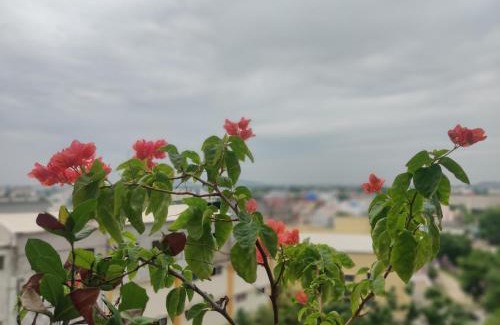 Chennai Apartment | Hyku's cute home!