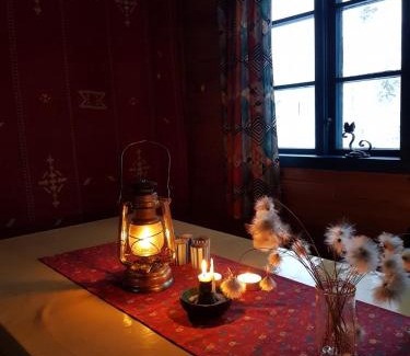 Snasa House | Hytte ved innsjø