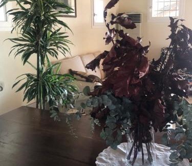 Forli House | I MERISI