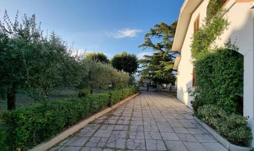Casalbordino House | I Tigli