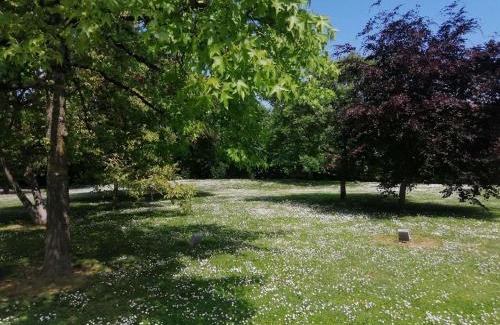 Chambray-les-Tours Hotel | ibis budget Tours Sud