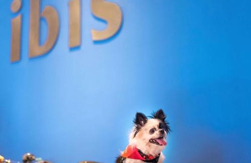 Strombeek-Bever Hotel | ibis Hotel Brussels Expo Atomium