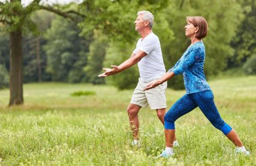 Aix-les-Bains Hotel | ibis Styles Aix les Bains Domaine de Marlioz