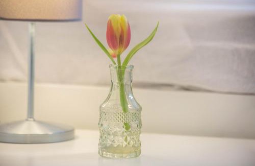 Blumenviertel Apartment | Ideal für die Entdeckerfamilie