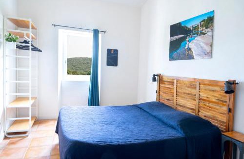 Causse-de-la-Selle House | Ideal famille et groupe Mas dans les Cévennes Piscine Plages privées Cadre exceptionnel Convivialité Calme Vignoble Parking gratuit Borne électrique Animaux acceptés - Wifi