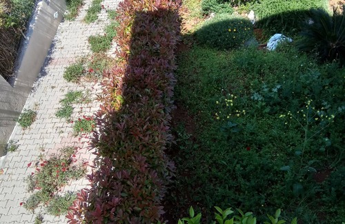 Theologos House | IDEAL FOR FAMILIES WITH SMALL CHILDREN