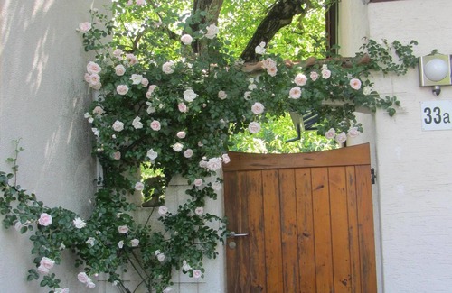 Pfaffengrund House | Idyllic holiday home under old walnut trees, quiet and in the countryside