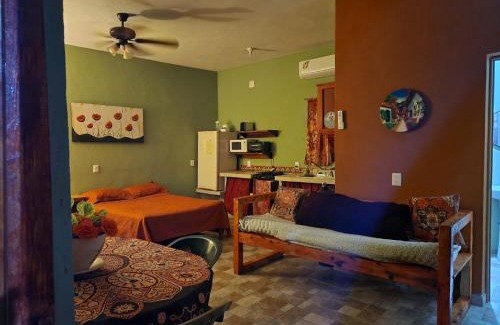 Boca de Iguanas Apartment | Iguana Loca 2