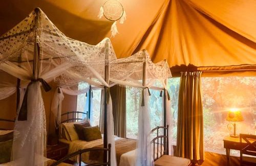 Meru National Park Other | Ikweta Safari Camp