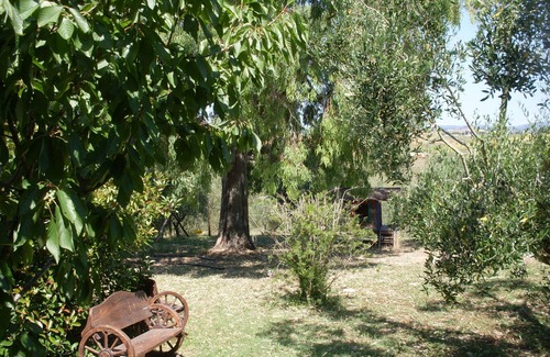 Marsiliana House | Il Bagolaro Marvellous swimming pool diving board private apartment and garden