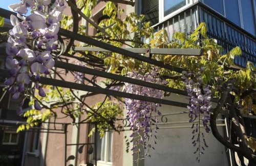 Novara Bed & Breakfast | Il Broletto B&B