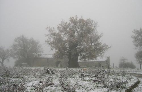 Viggiano Apartment | Il Castelluccio