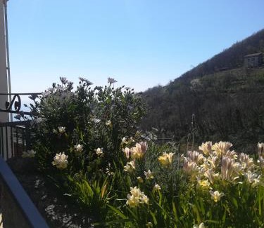 Dragonea Bed & Breakfast | Il Covo delle Civette