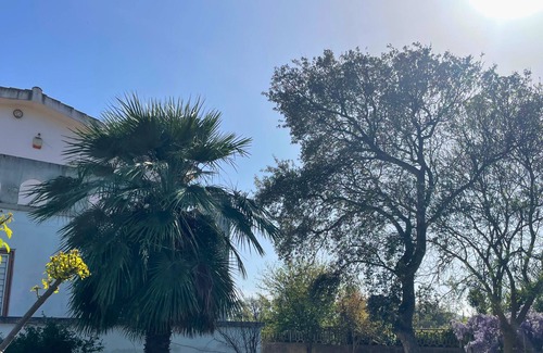 Carbonia Apartment | Il Giardino Di Paola With Jacuzzi