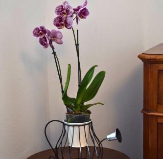 Piamaggio Bed & Breakfast | IL GINEPRO B&B