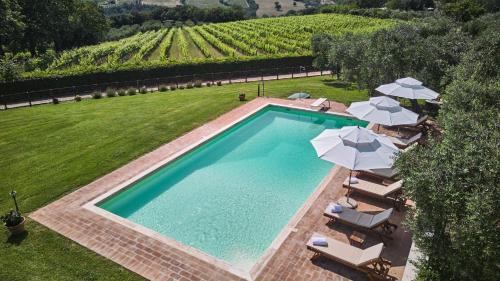 Civitella Paganico Villa | Il Passo Degli Ulivi