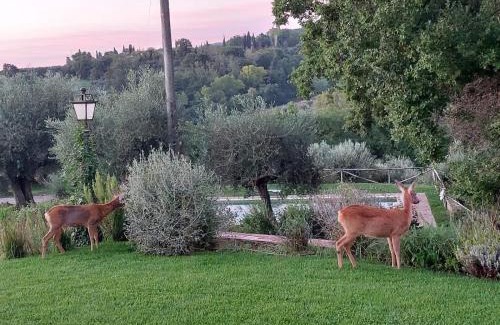 Cetona Villa | Il Poggio - Luxury villa in Tuscany