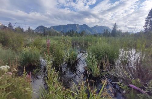 Inzell Apartment | Im Spatzennest