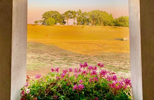 Santeramo in Colle House | In old farmhouse in Apulia, large room with kitchen, bathroom, garden