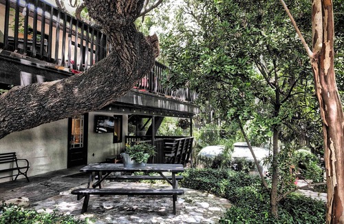 Travis Heights House | In the Heart of Austin's SOCO District