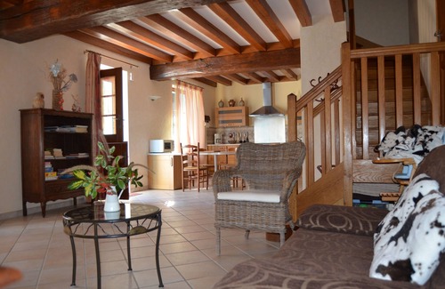 Mosnes House | IN THE HEART OF THE LOIRE CASTLES, NEAR THE BEAUVAL ZOO